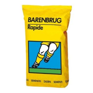 Seminte de gazon Barenbrug Rapide
