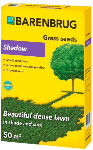 Seminte de gazon pentru umbra Barenbrug Shadow