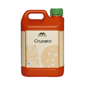Crucero