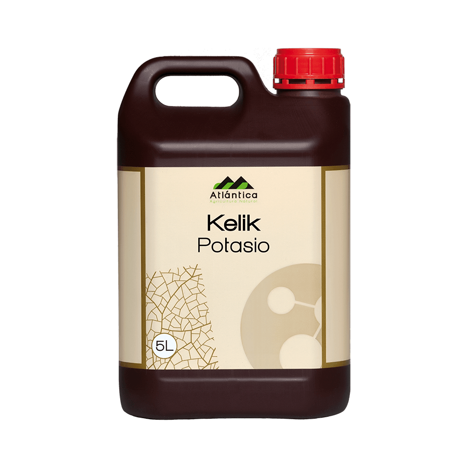 Kelik Potasiu