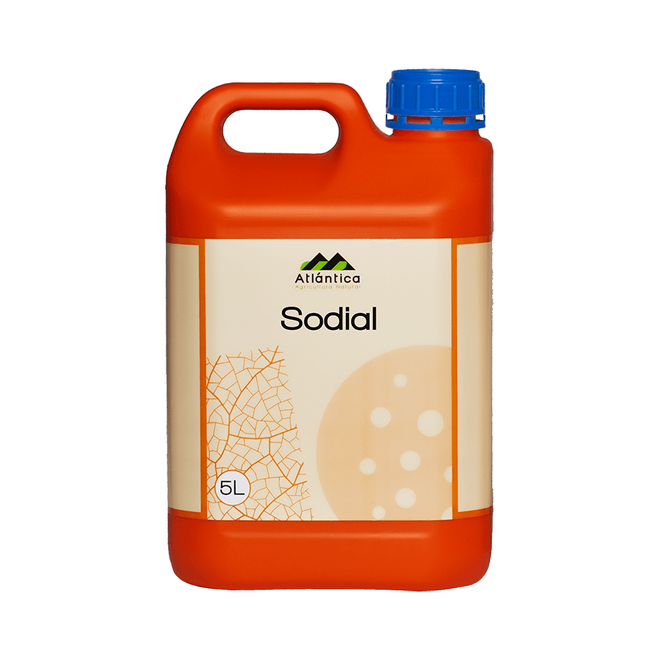 Sodial - imagine 3