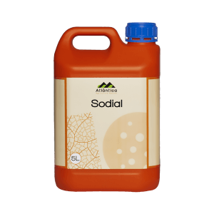 Sodial